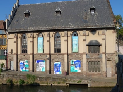 TJP Centre dramatique national Strasbourg Grand Est