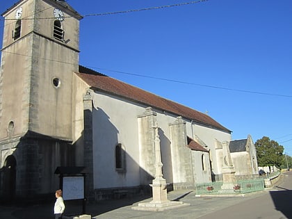 Église Saint-Martin de Savoisy