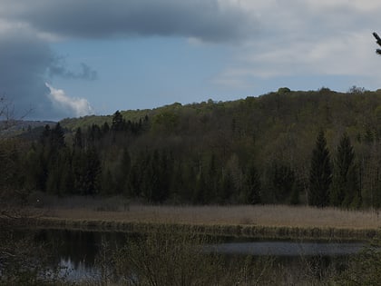 Lac d'Onoz