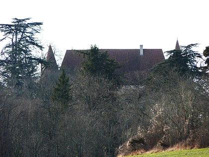 chateau de puyferrat