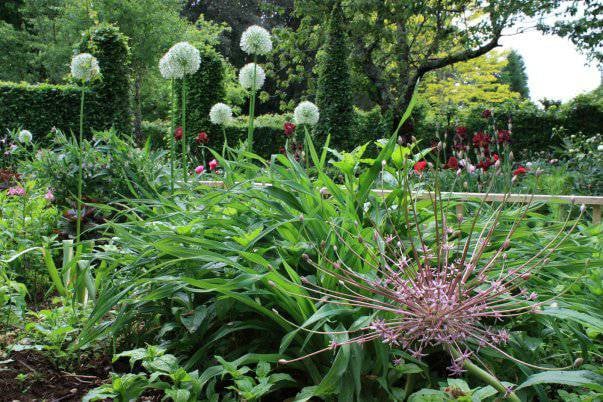 les jardins de cadiot carlux