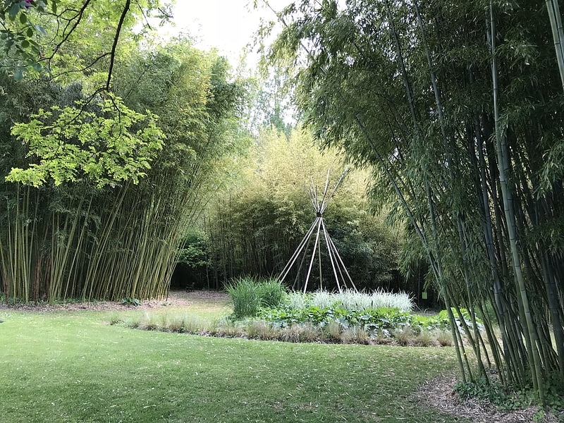le parc aux bambous lapenne