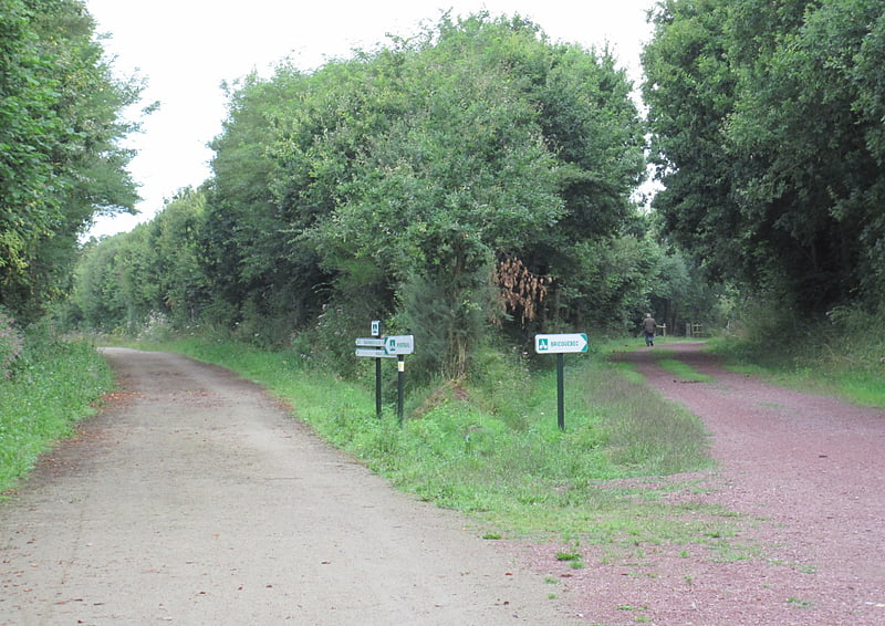 ligne de carentan a carteret saint jean de la riviere