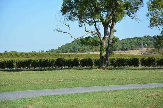 Lesparre-Médoc