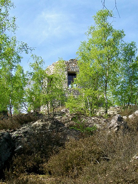 Château de Vallière