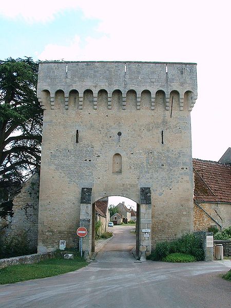 Château de Druyes