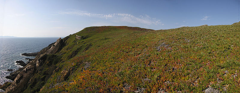 Isla de Bagaud