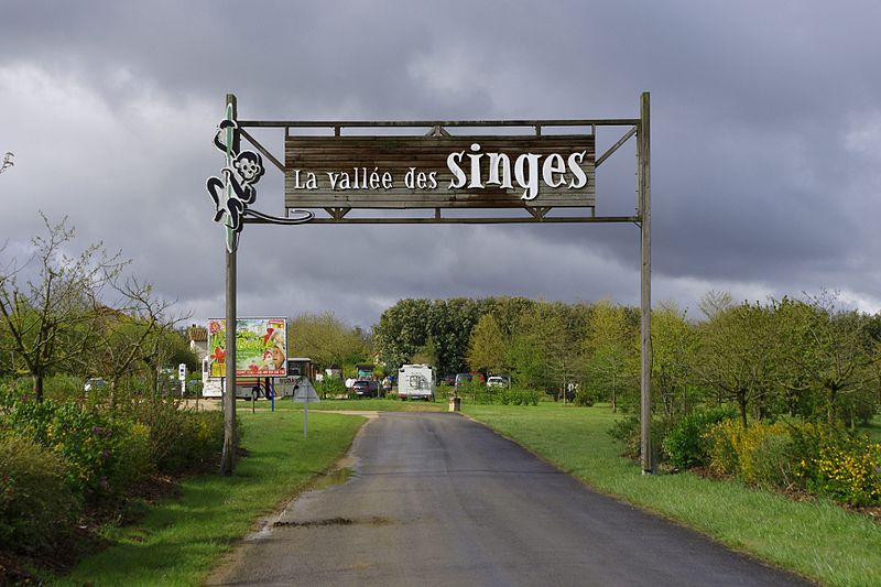 Vallée des singes