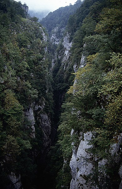 Gorges d'Holtzarte