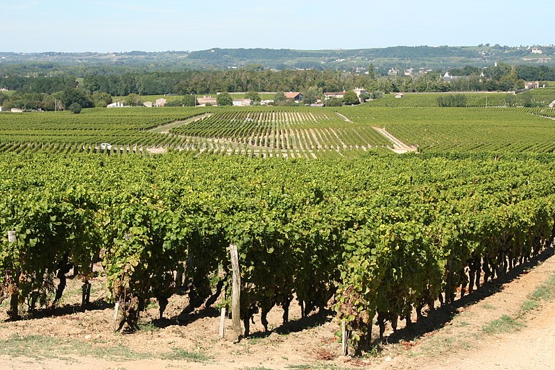 Château d’Yquem