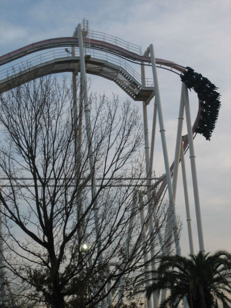The Monster Roller Coaster