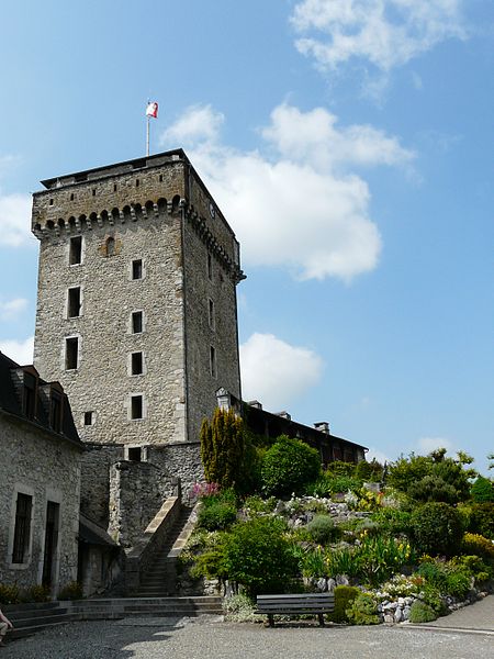 Château fort de Lourdes