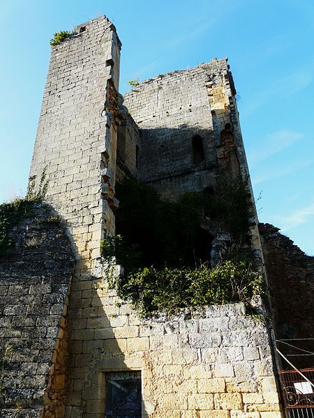 Ruines du château de Miremont