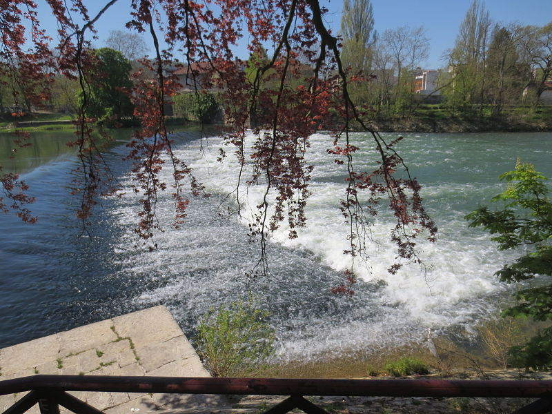 Parc Micaud