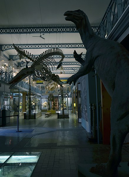 Museo de Historia Natural de Lille