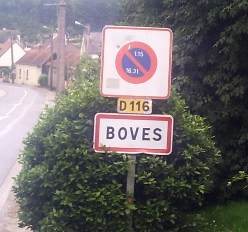 Boves