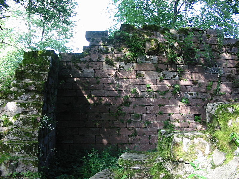 Burg Salm