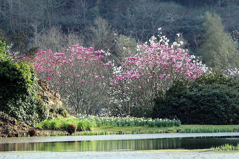 Conservatoire botanique national de Brest