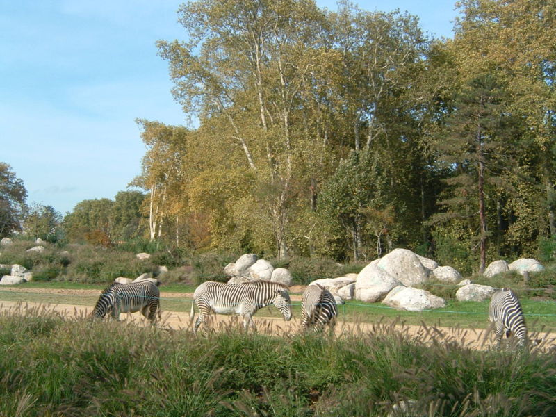 Jardin zoologique de Lyon