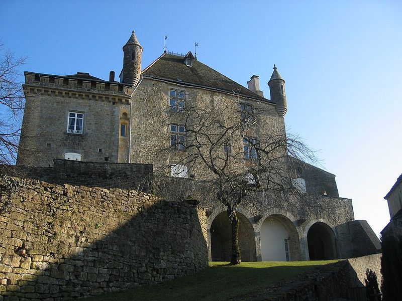 Château de Frontenay