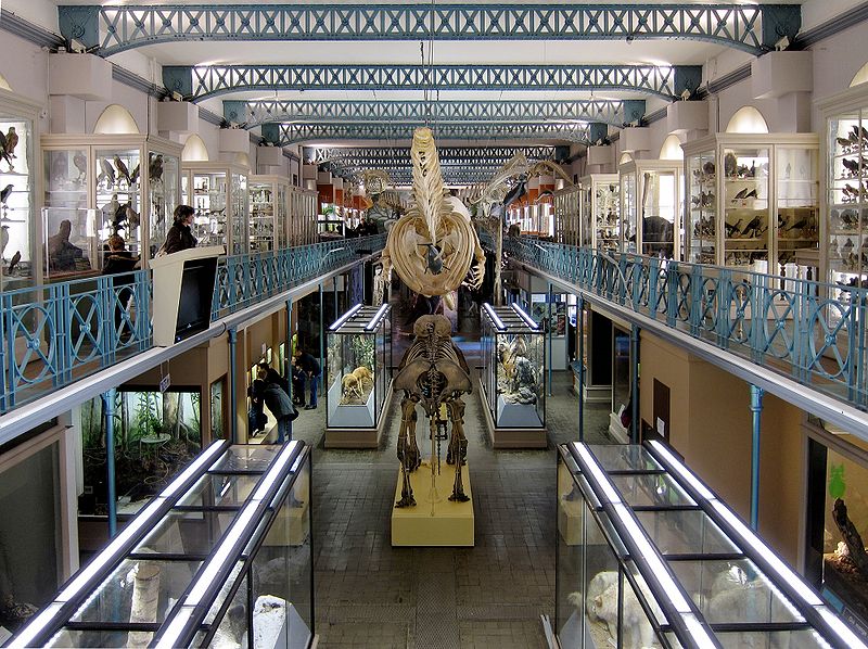 Museo de Historia Natural de Lille