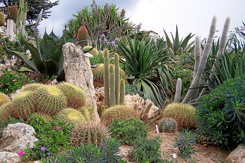 Jardín botánico d'Èze