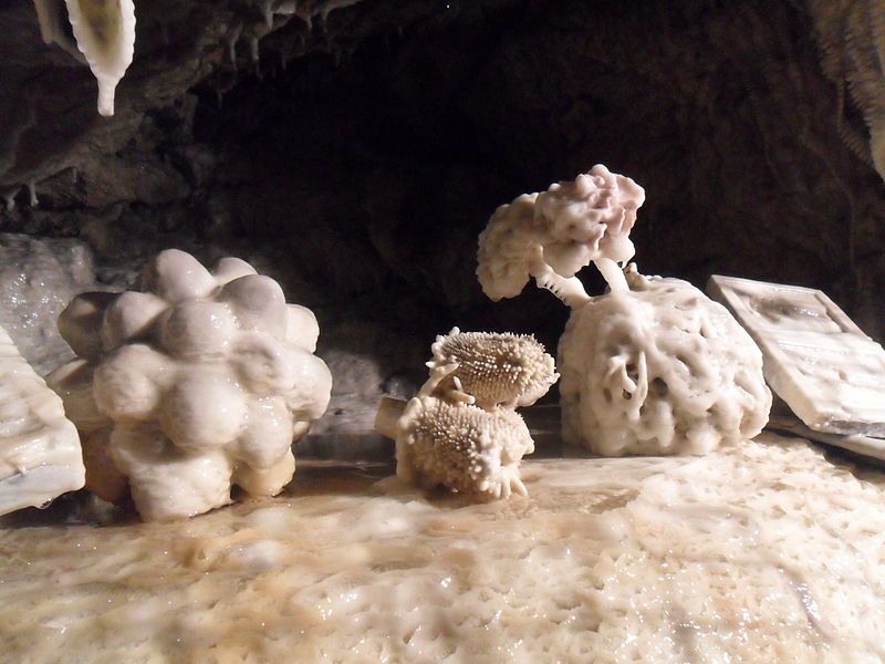 Grottes Pétrifiantes de Savonnières