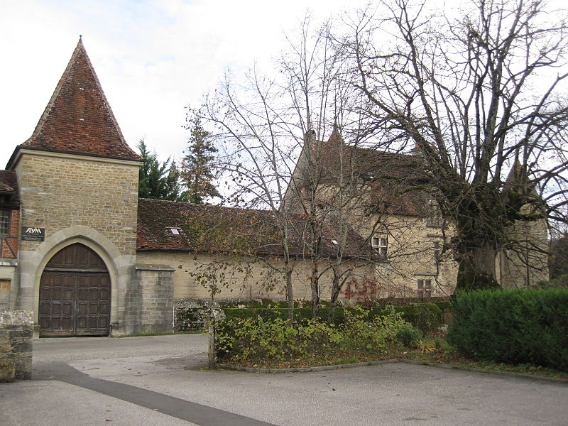 Château de Domblans