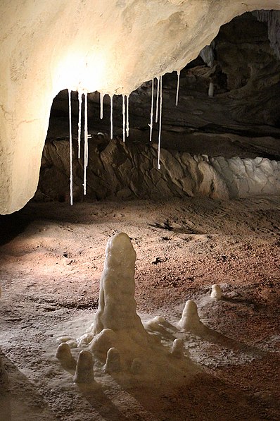 Chauvet-Höhle