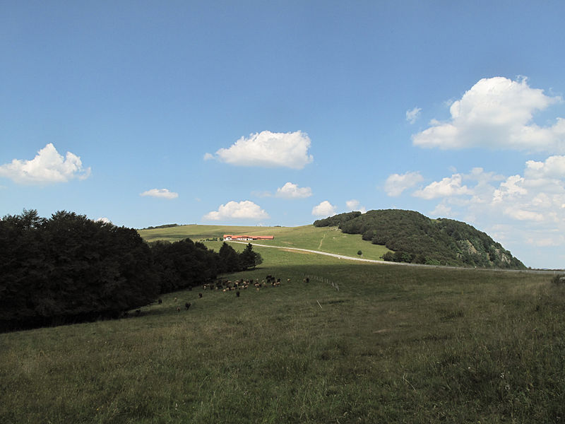 Col du Ballon d'Alsace