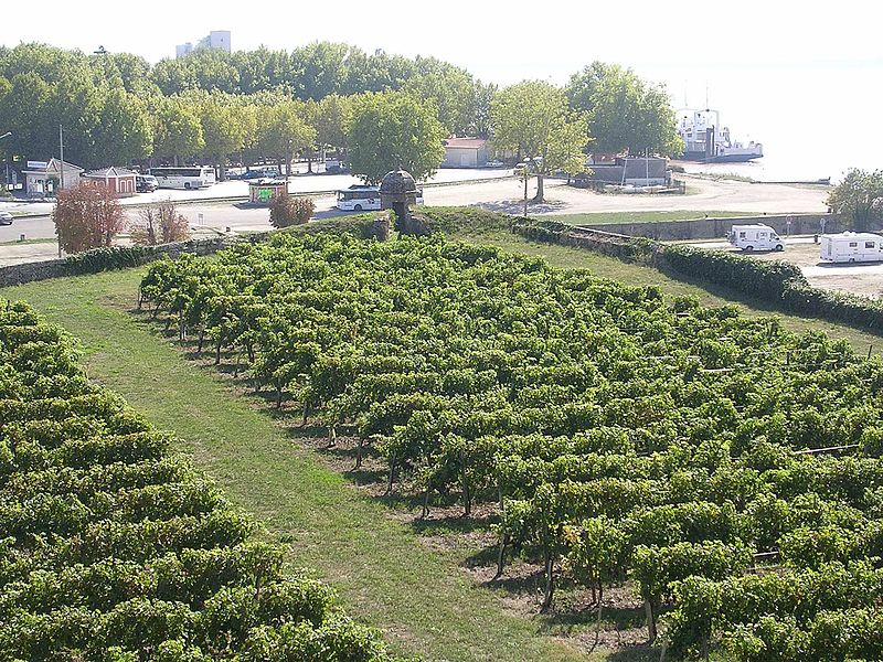 Ciudadela de Blaye