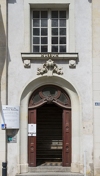 Muséum d'histoire naturelle d'Angers
