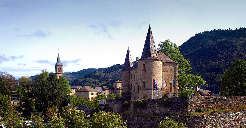 Château de Florac