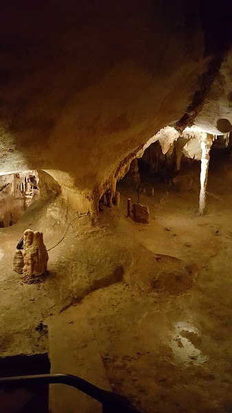 Grotte du Pech Merle