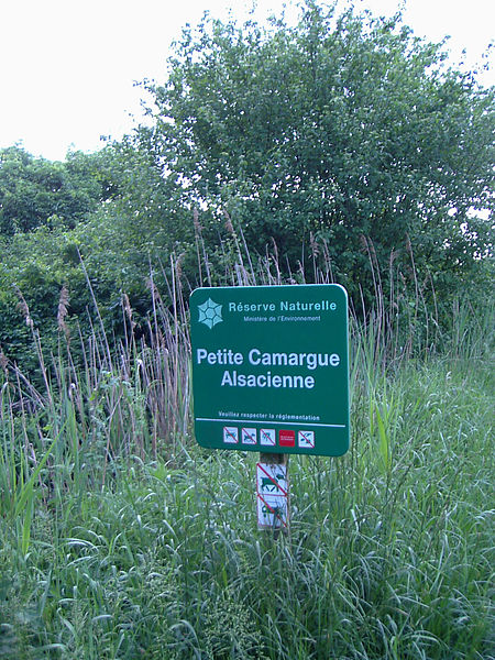 Réserve naturelle de la petite Camargue alsacienne