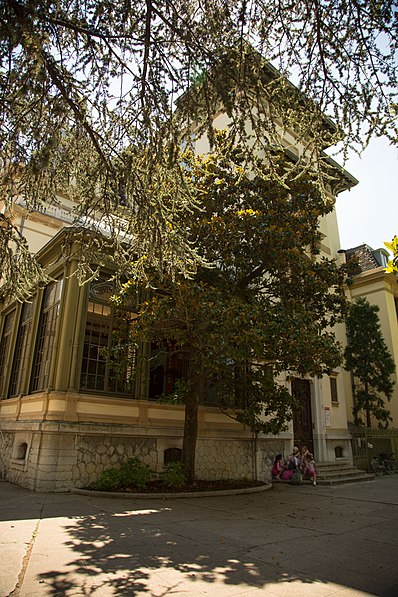 Instituto Lumière
