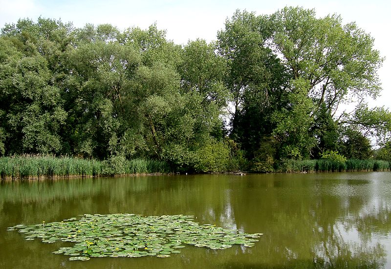 Parc de la Deûle