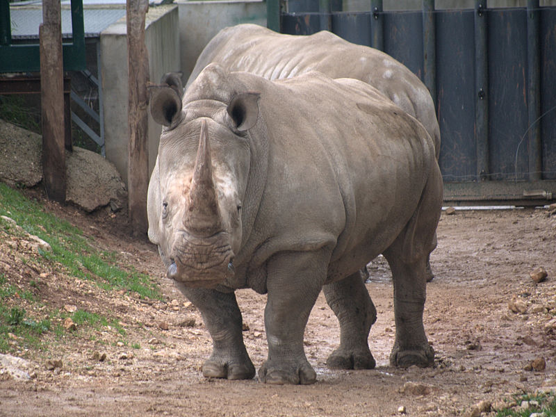 Parque zoológico de Montpellier