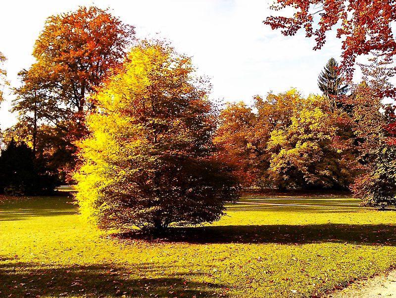 Parc de l'Orangerie