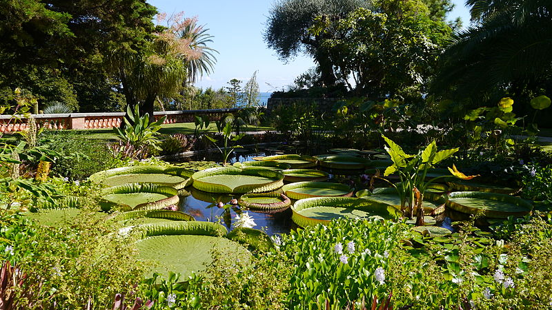 Jardin botanique du Val Rahmeh, Menton