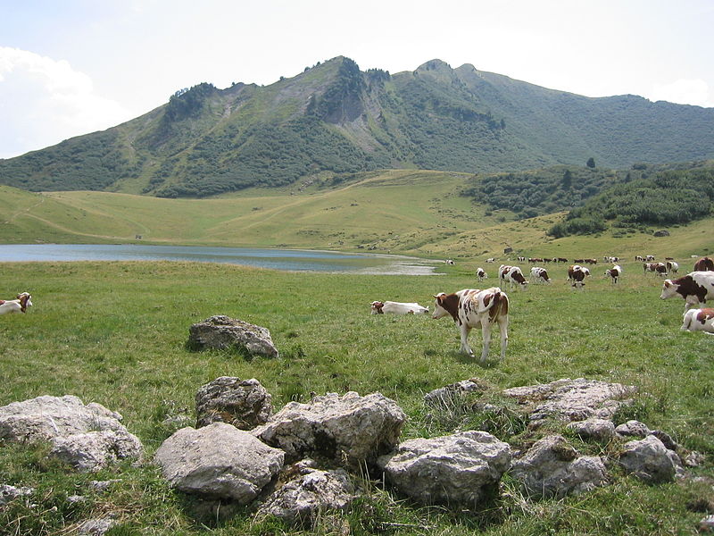 Lac de Roy