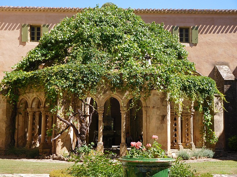 Abbaye Sainte-Marie de Valmagne