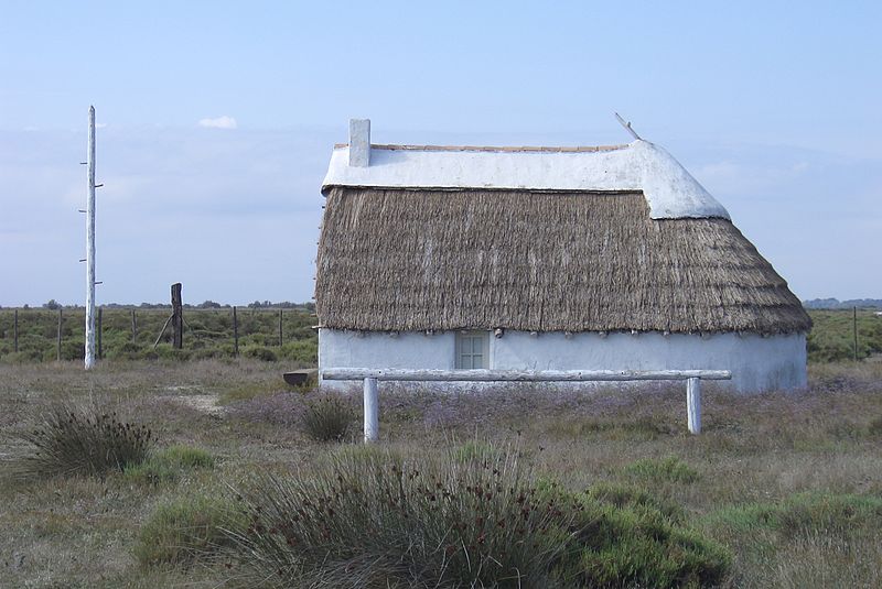 Camargue