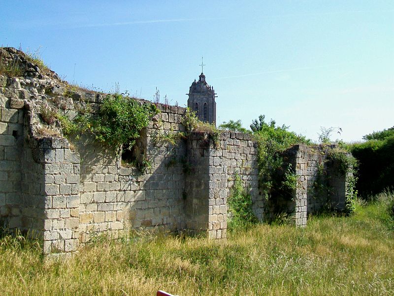 Burg Beaumont-sur-Oise