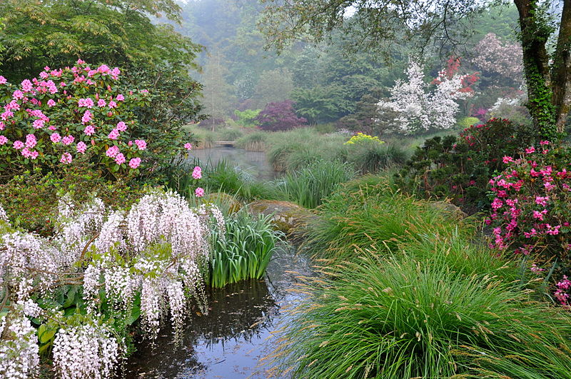 Parc botanique de Haute-Bretagne