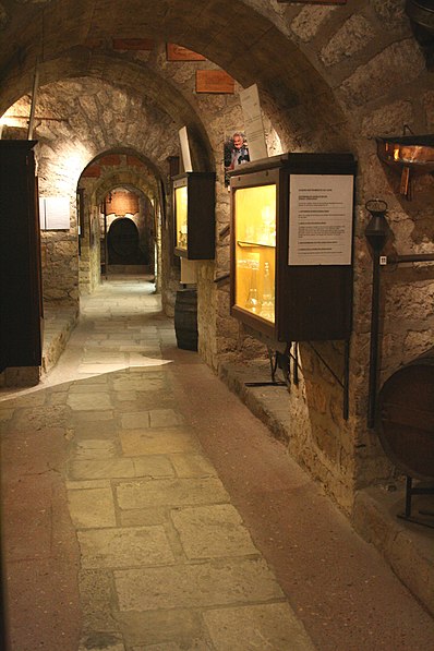 Muzeum wina