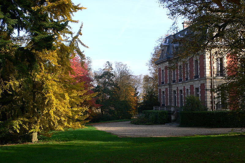 Château de Châtenay-en-France