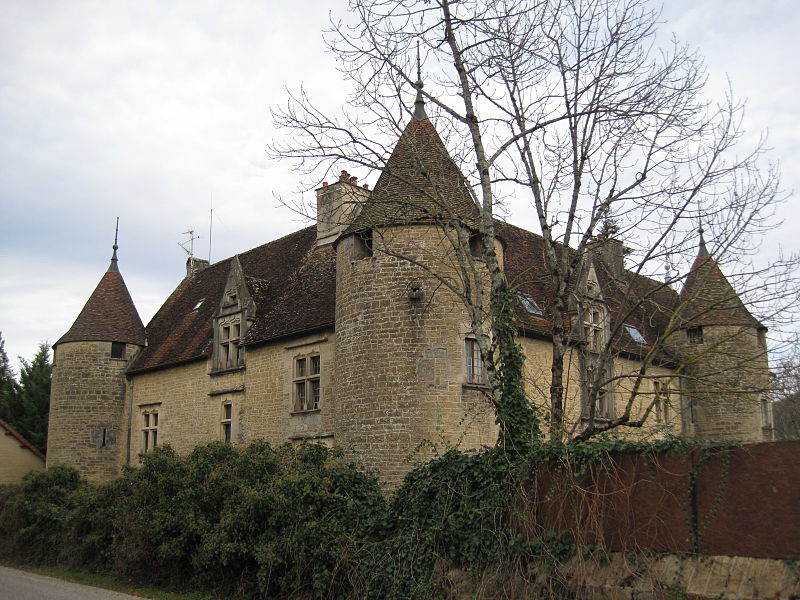 Château de Domblans