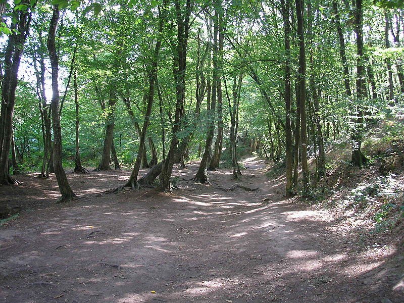 Brocéliande