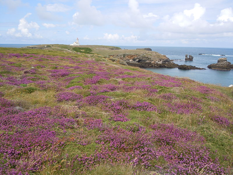 Pointe des poulains